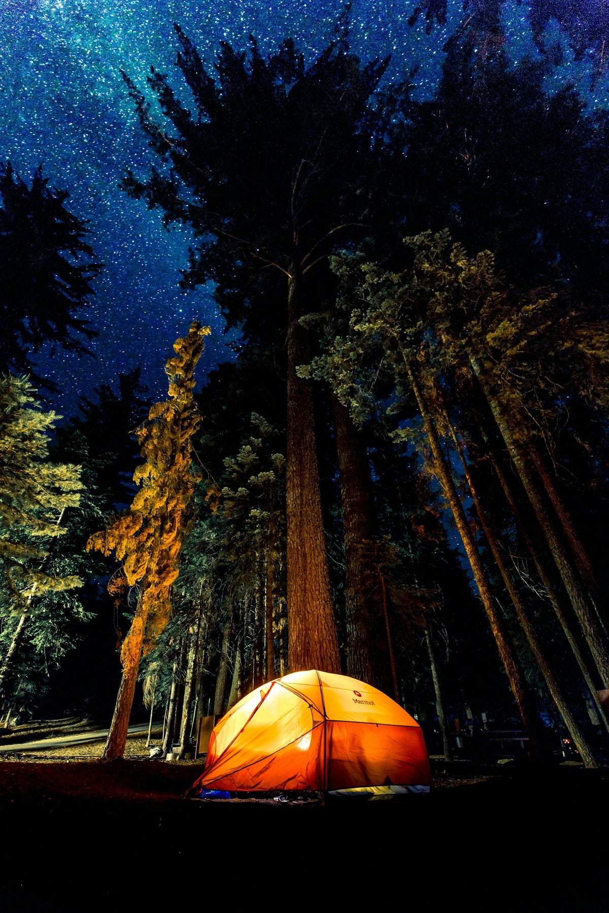 Campamento iluminado dentro del bosque durante la noche — Lámparas y linternas Ferrata Outdoor