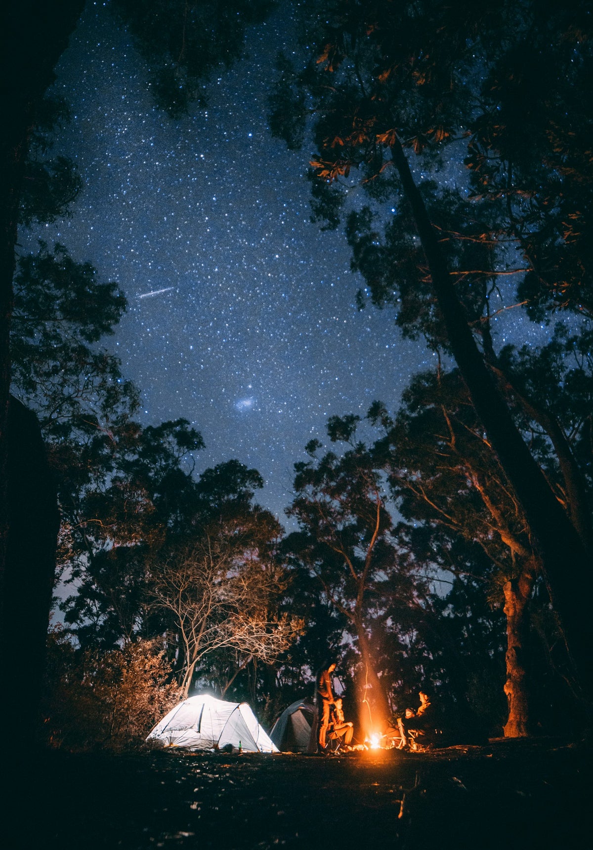 Fogata encendida rodeada de árboles en un campamento — Fuego y cocina outdoor Ferrata Outdoor