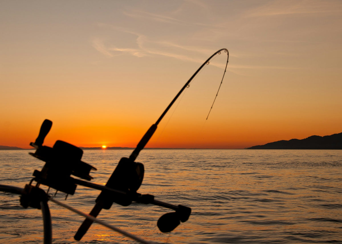 Caña de pesca frente a un lago durante la hora dorada — Equipo de pesca Ferrata Outdoor